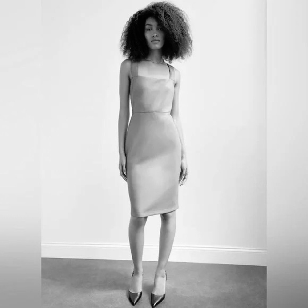 Aritzia Black Babaton Image Dress